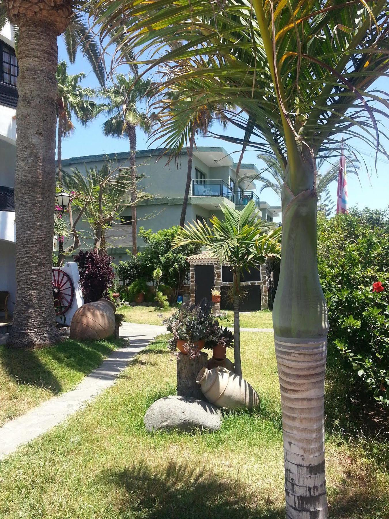 Apartamentos El Chaparral Playa del Inglés Exteriér fotografie
